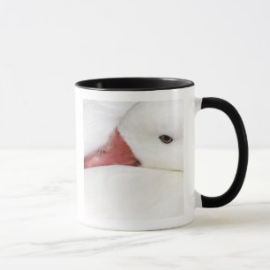 Caneca Ganso da Neve Chen caerulescens