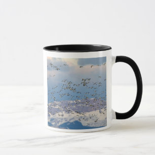 Caneca Gansos da neve durante a migração da primavera