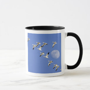 Caneca Gansos da neve voam no Freezeout Lake NWR