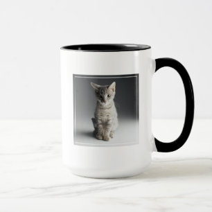 Caneca Gatinho azul do gato malhado