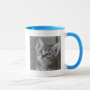 Caneca Gatinho bonito no jardim
