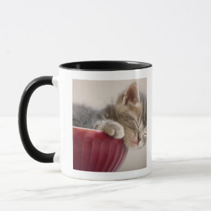 Caneca Gatinho que dorme na bacia