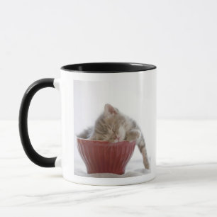 Caneca Gatinho que dorme na bacia