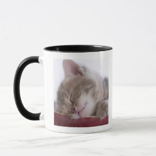 Caneca Gatinho que dorme na bacia 2