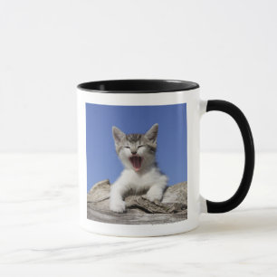 Caneca Gatinho que encontra-se no registro, bocejando,