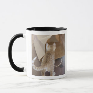 Caneca Gatinho que olha no abismo de um saco