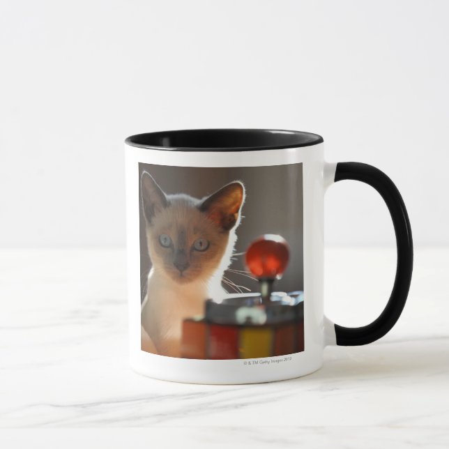 Caneca Gatinho Siamese (Direita)