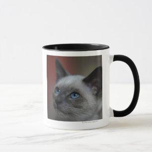 Caneca Gatinho Siamese