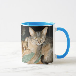 Caneca Gatinhos Abissinianos e Gato de Gato