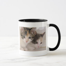 Caneca Gatinhos da chita