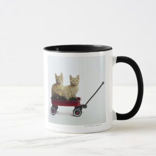 Caneca Gatinhos no vagão