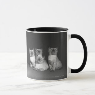 Caneca Gatinhos Siamese que olham acima B&W
