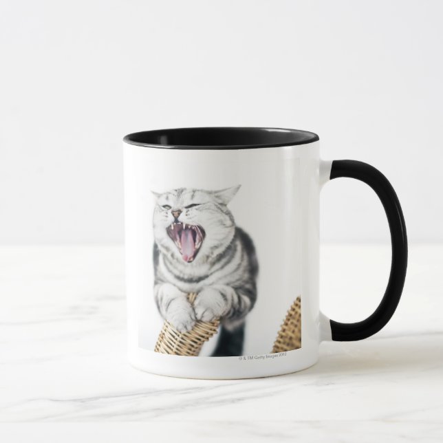 Caneca gato cinzento no fundo branco (Direita)