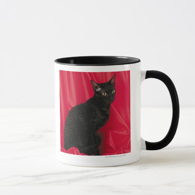 Caneca Gato Cornish do rex (Direita)