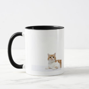 Caneca Gato da dobra do Scottish