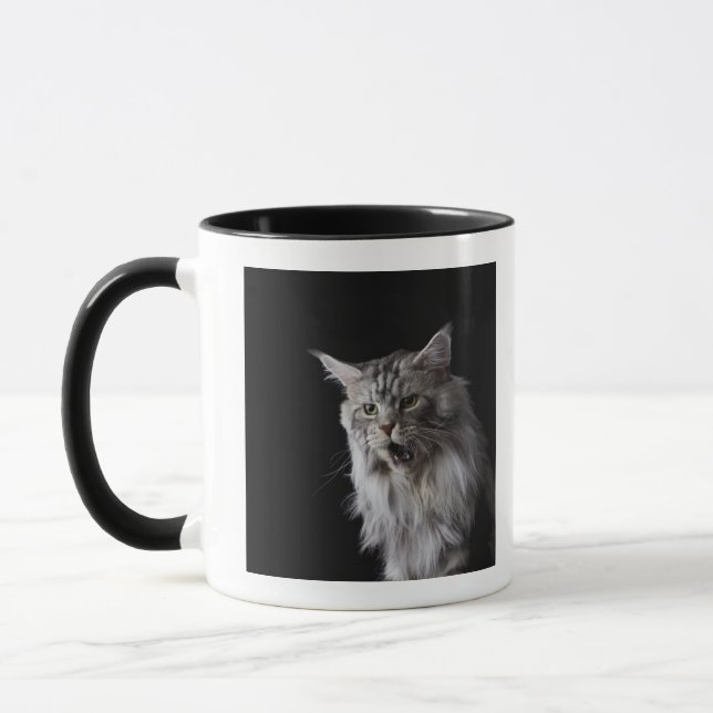 Caneca Gato de racum 2 de Maine (Esquerda)