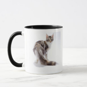 Caneca Gato de racum de Maine