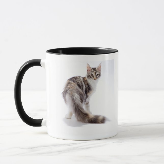 Caneca Gato de racum de Maine (Esquerda)