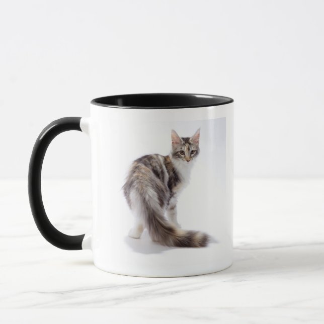 Caneca Gato de racum de Maine (Esquerda)