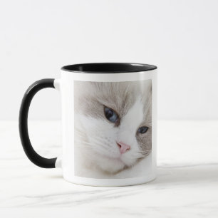 Caneca Gato de Ragdoll