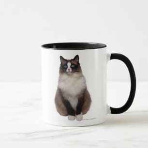 Caneca Gato de Ragdoll