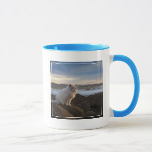Caneca Gato de Ragdoll na praia