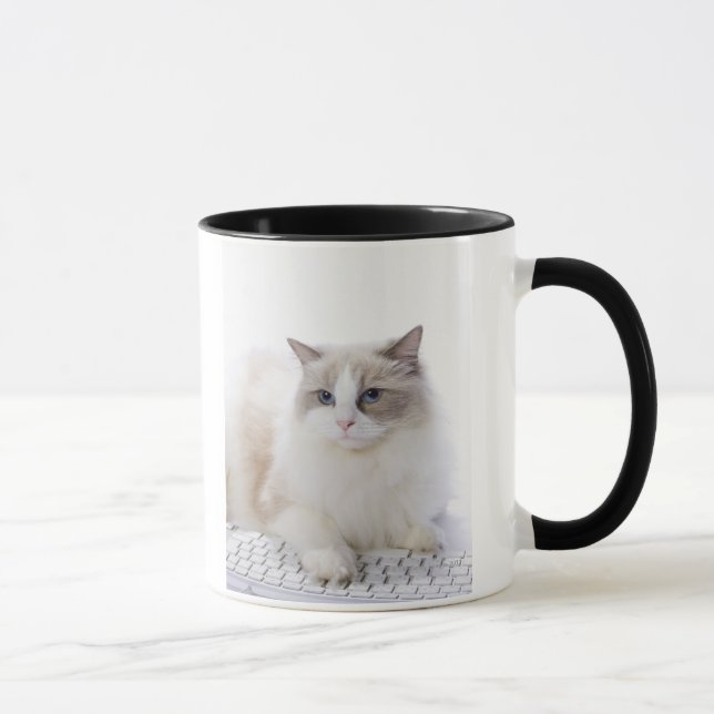 Caneca Gato de Ragdoll no teclado de computador (Direita)