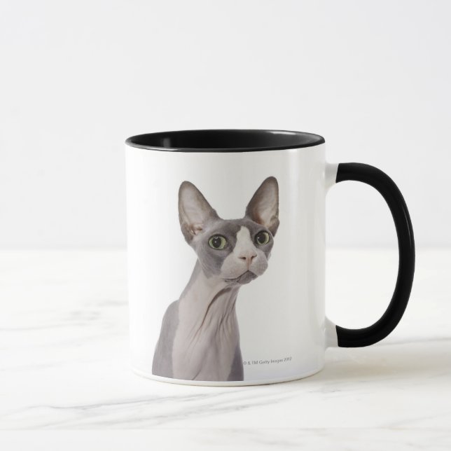 Caneca Gato de Sphynx com expressão surpreendida (Direita)