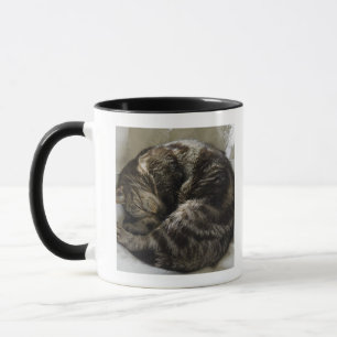 Caneca Gato do sono