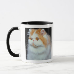 Caneca Gato Eyed e bonito da laranja