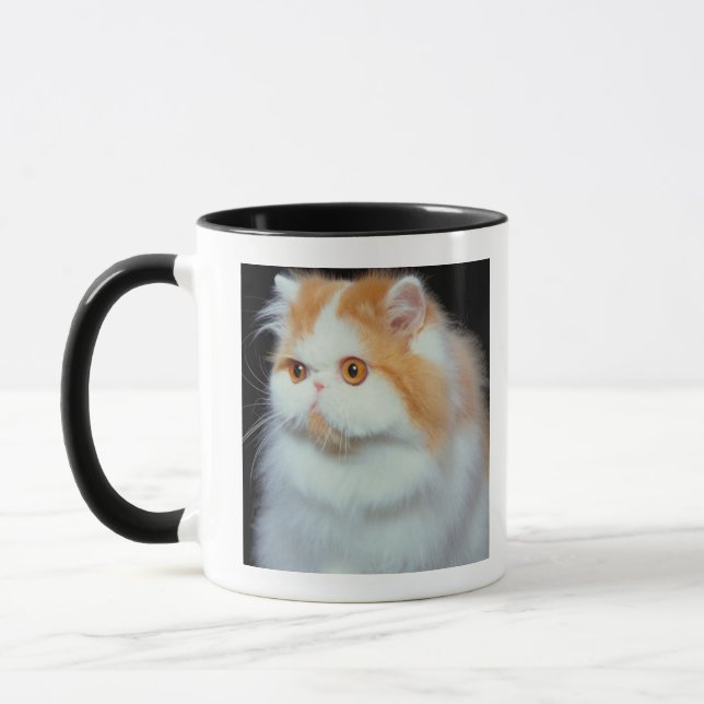 Caneca Gato Eyed e bonito da laranja (Esquerda)