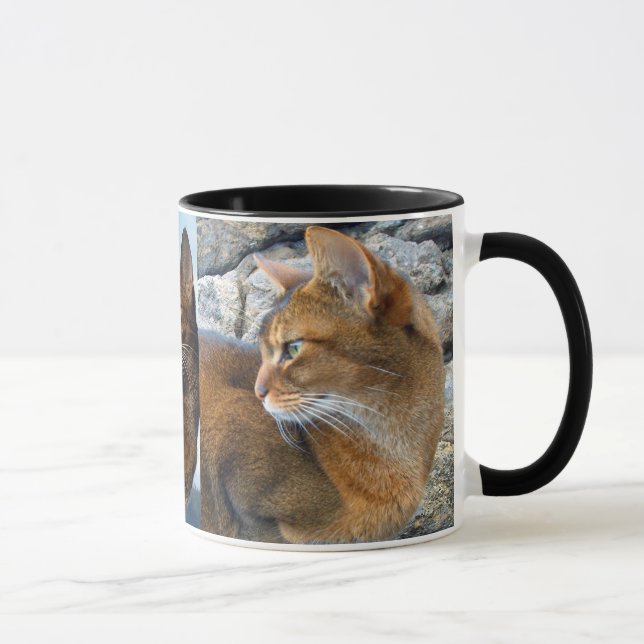 Caneca Gato fêmea Abyssinian corado (Direita)
