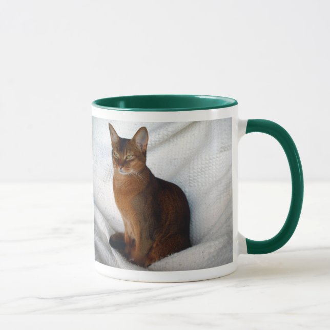 Caneca Gato fêmea corado Abyssinian (Direita)