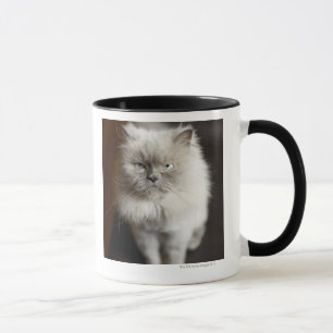Caneca Gato Himalaia do ponto azul que olha irritado