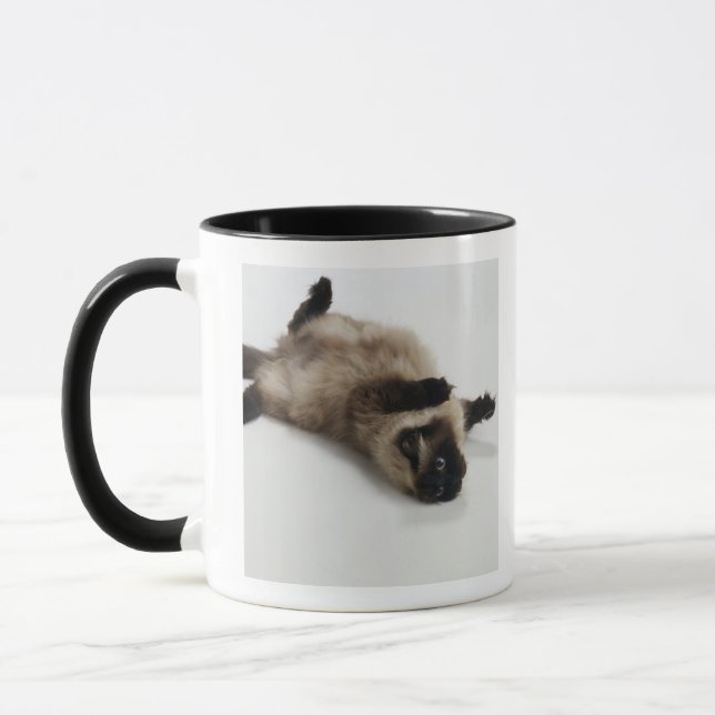 Caneca Gato Himalaia que encontra-se em seu para trás (Esquerda)