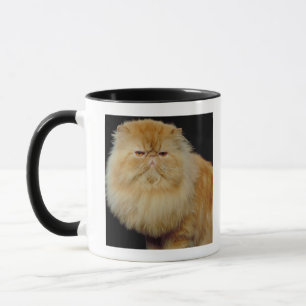 Caneca Gato longo do cabelo do russo