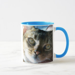 Caneca Gato masculino azul Abyssinian