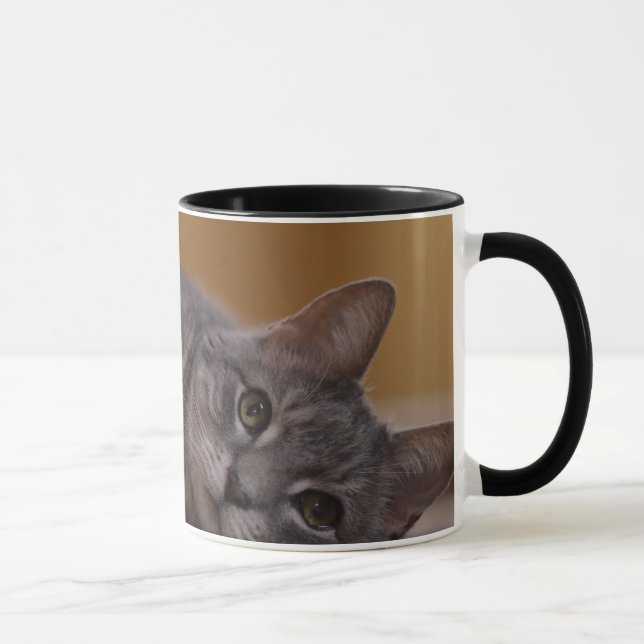 Caneca Gato na pose bonito que encontra-se no assoalho (Direita)