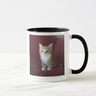 Caneca Gato no sofá