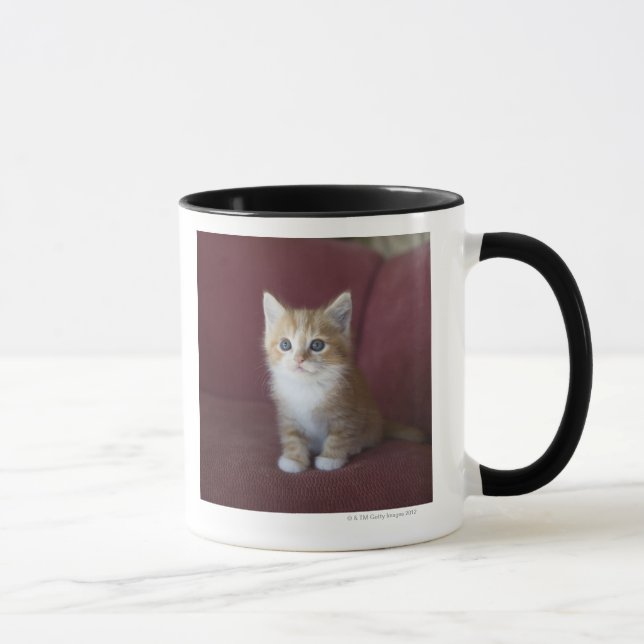 Caneca Gato no sofá (Direita)