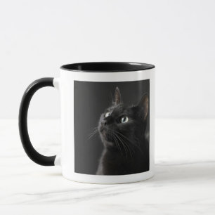Caneca Gato preto contra o fundo preto, fim-acima