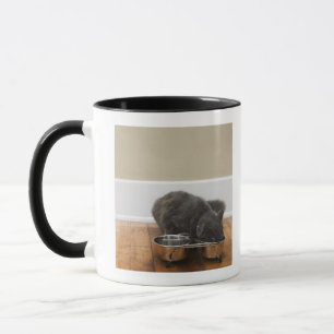Caneca Gato que come da bacia