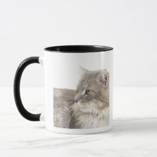 Caneca Gato que encontra-se para baixo