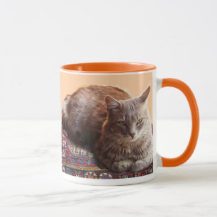 CANECA GATO TURCO SOBRE O VELHO CARPETE