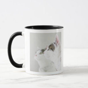 Caneca Gatos