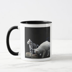 Caneca Gatos com a bacia de comida