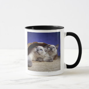 Caneca Gatos no saco de papel