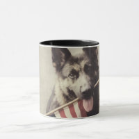 german shepherd com sinalizador dos EUA