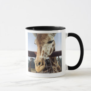 Caneca Girafa