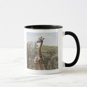 Caneca Girafa 5